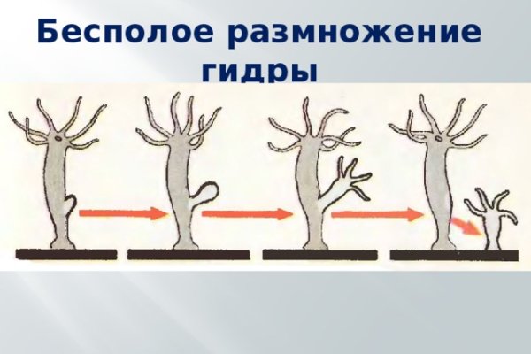 Kra49.cc Вход на сайт главная страница
