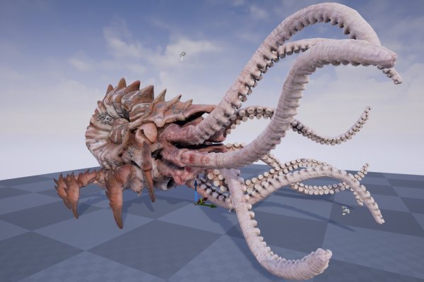 Kraken 19 at