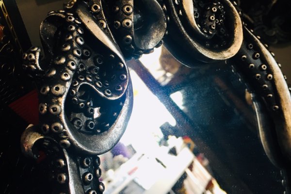 Kraken 11at