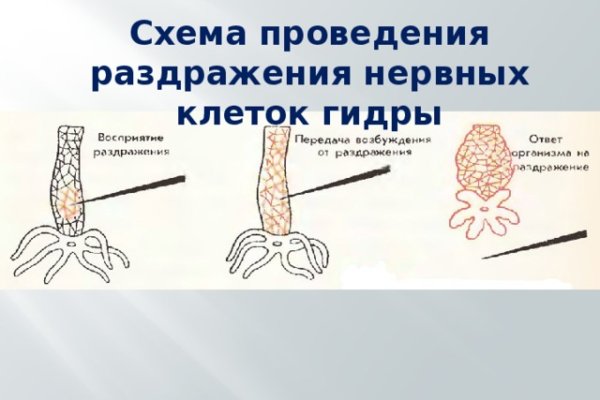 Кракен купить гашиш