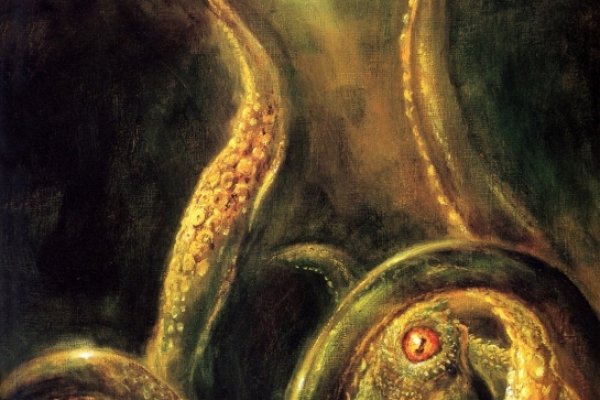 Kraken istand onion