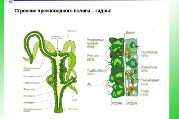 Kra35.cc Вход на сайт главная страница