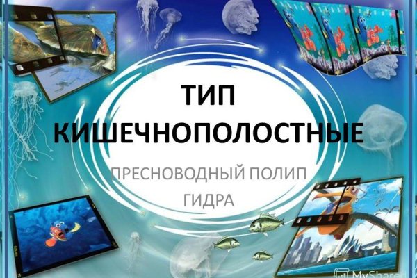 Как зайти на кракен с телефона андроид