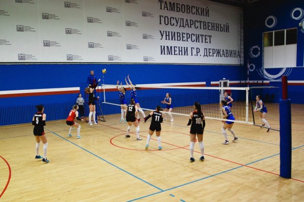 Рабочее зеркало кракен