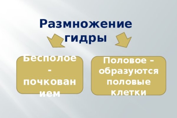 Кракен новый сайт
