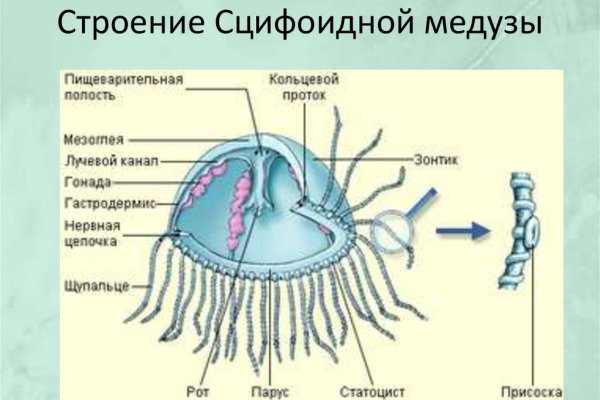 Кракен сайт at