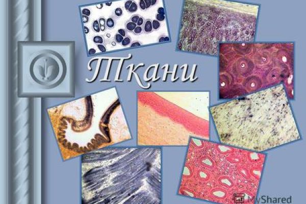 Кракен даркнет ссылка на сайт