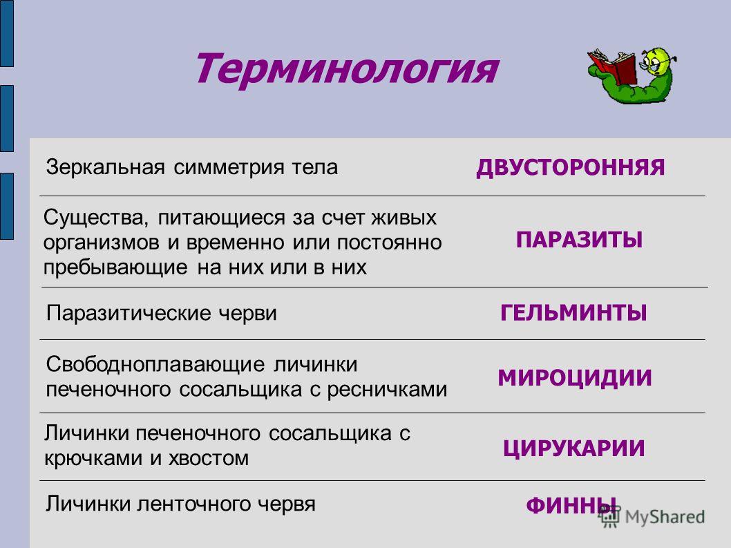 Кракен это что за сайт
